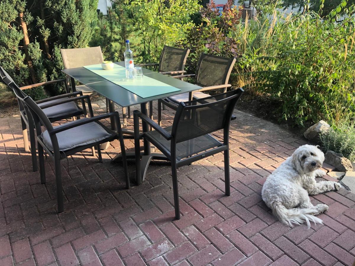 Haus Am Iberg 4 Lägenhet Willingen  Exteriör bild