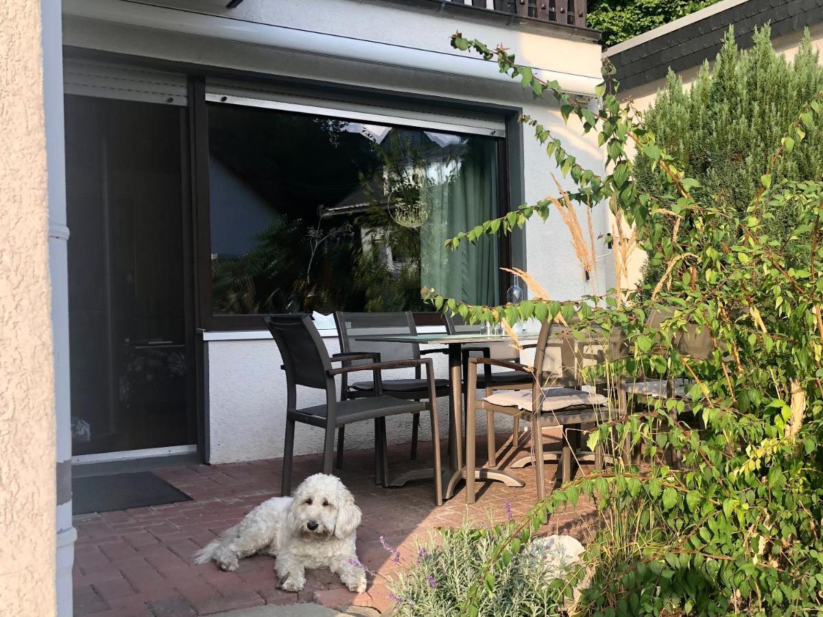 Haus Am Iberg 4 Lägenhet Willingen  Exteriör bild